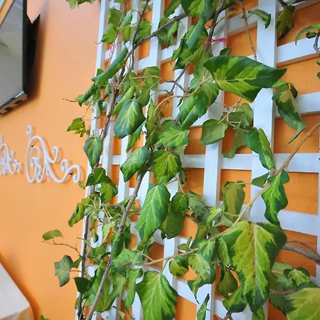 Vila Kerciku Hotel 3*