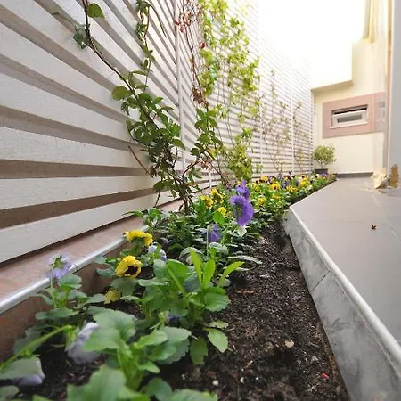 酒店 Vila Kerciku 3*